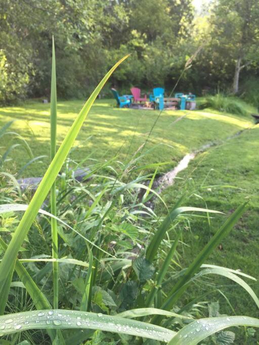 Unique Upper Near Lakes, River, Hiking, Fishing, Bike Trails
