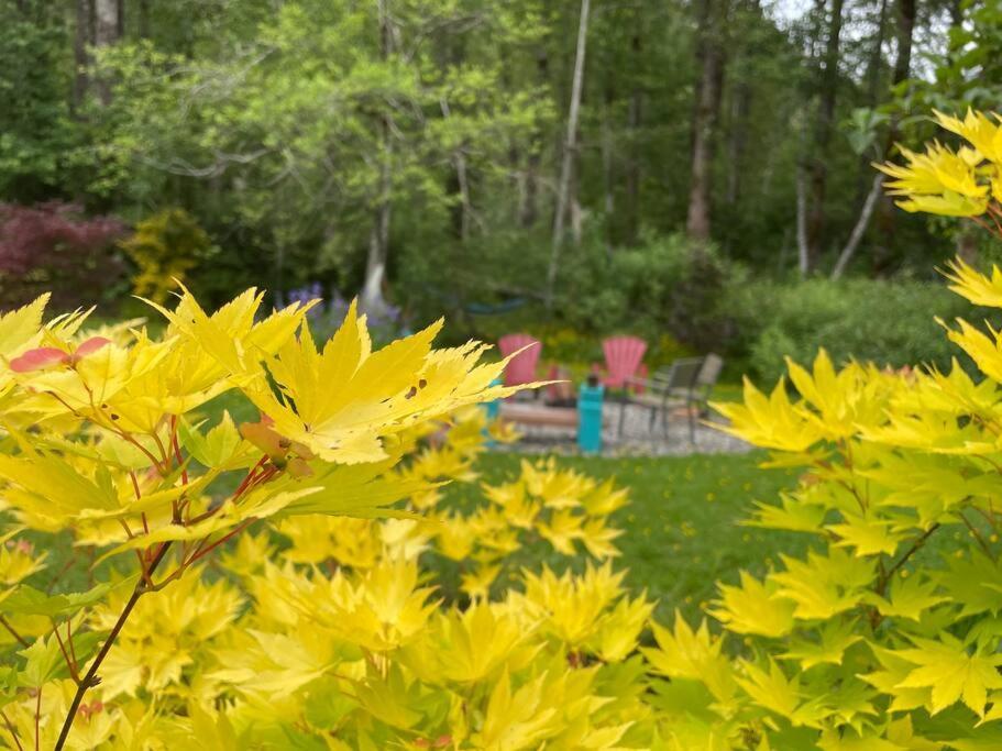 Holiday home Unique Upper Near Lakes, River, Hiking, Fishing, Bike Trails *