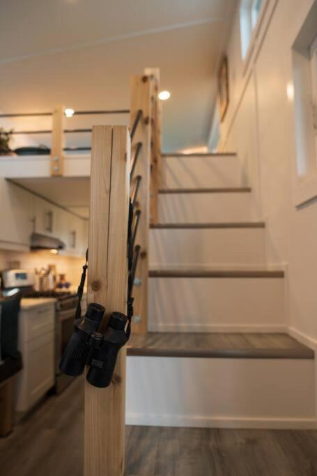 Tiny House Big View *