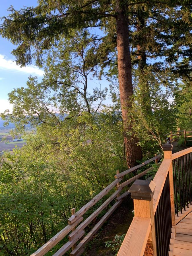 Tiny House Big View Luxury tent