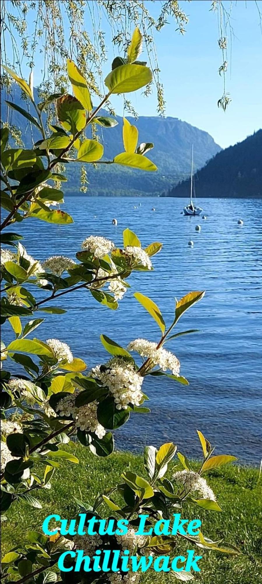 Private 2br Near Hwy 1, Heritage Park, Coliseum, Cultus Lake, Fishing, Chilliwack