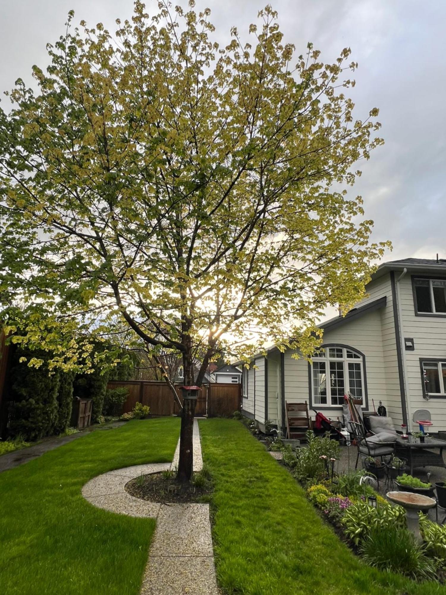 Guest house Whitewater Chilliwack
