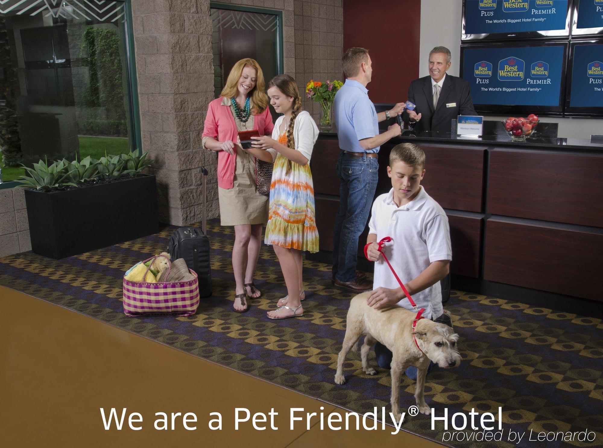 Surestay By Western Hotel