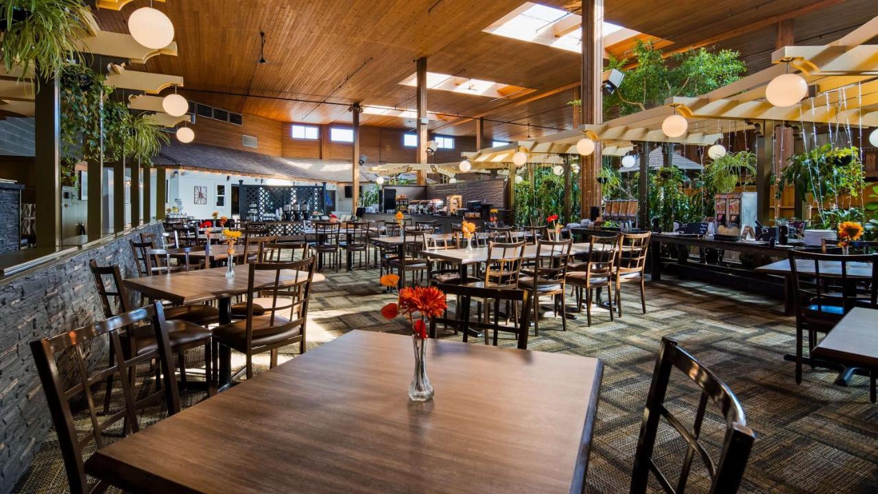 Surestay By Western Hotel Chilliwack