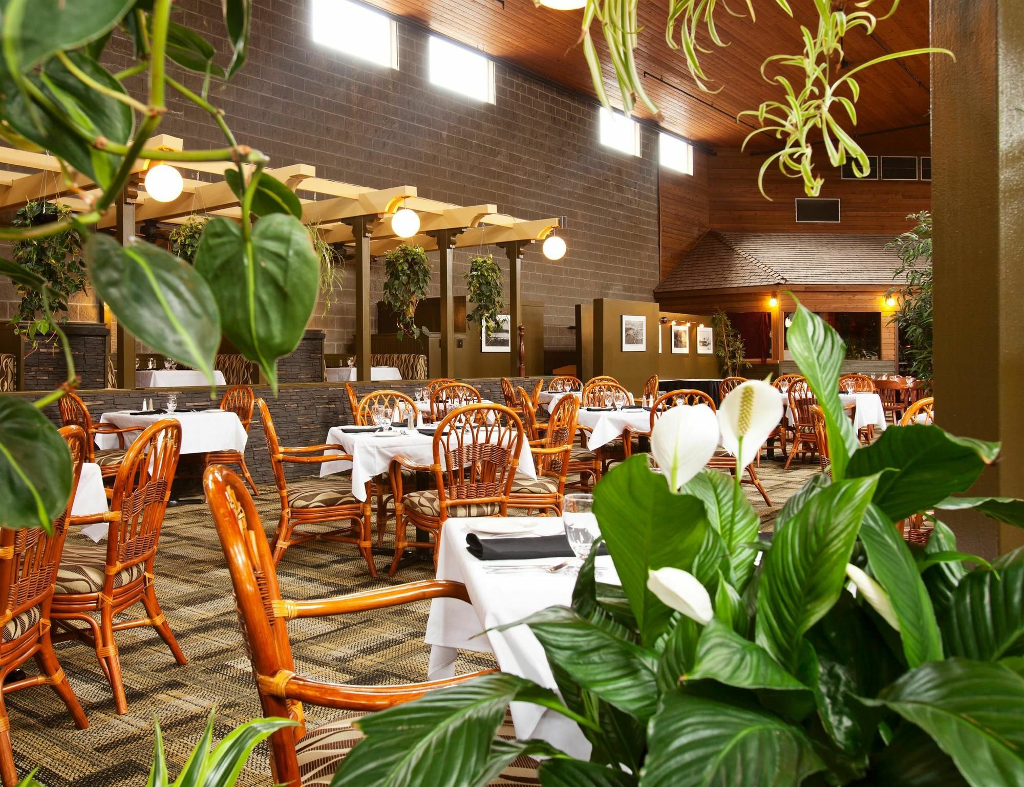 Hotel Surestay By Western 3*