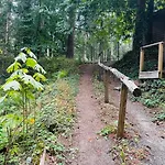 Cabin In The Woods @ Cultus Lake