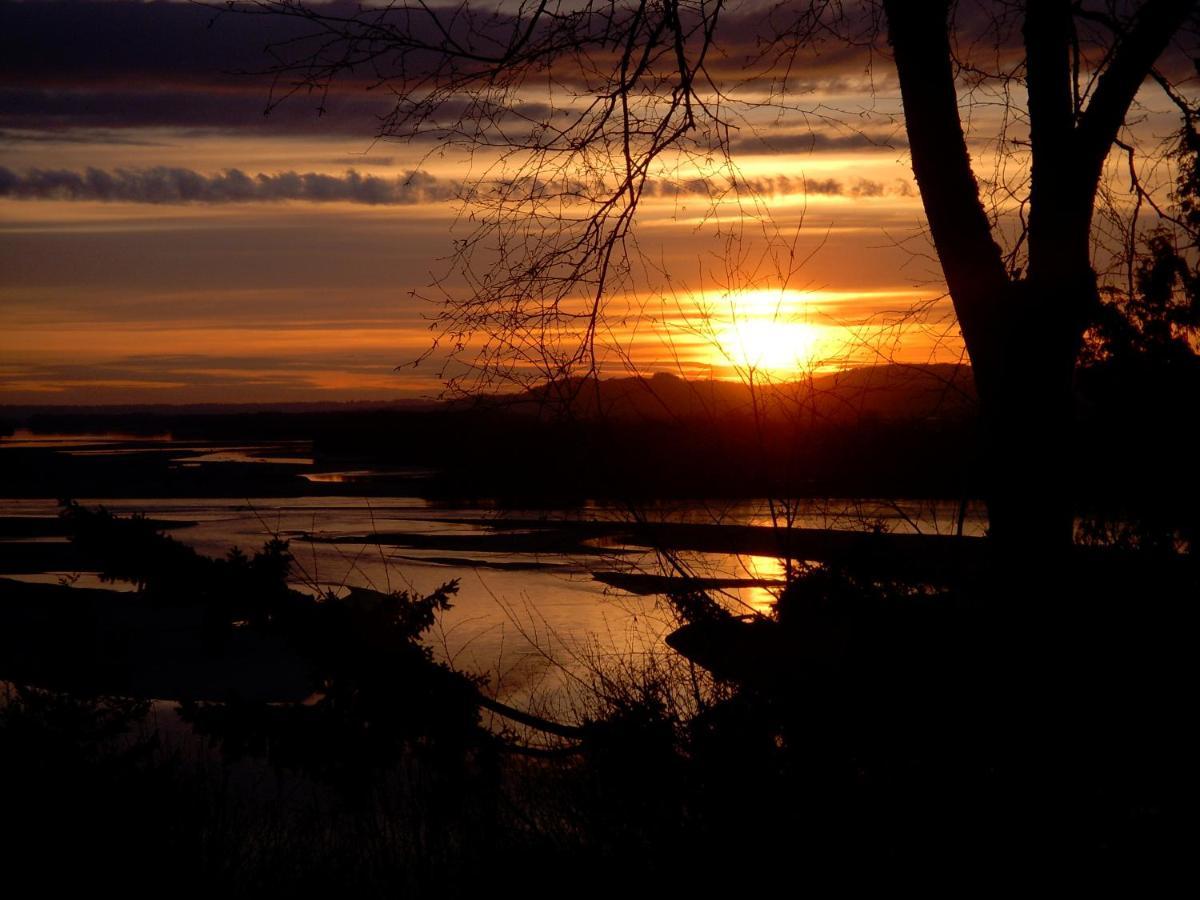 The Fraser River's Edge