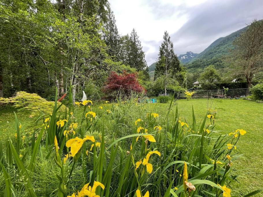 Unique Upper Near Lakes, River, Hiking, Fishing, Bike Trails
