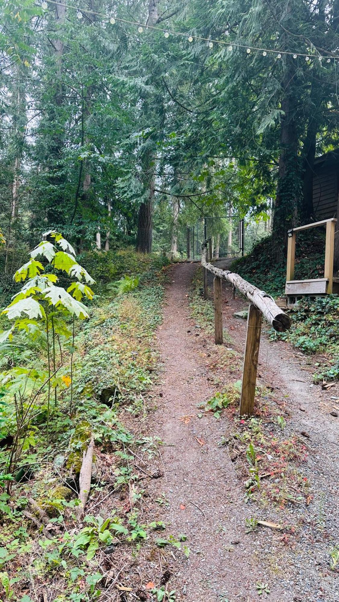 Holiday home In The Woods @ Cultus *