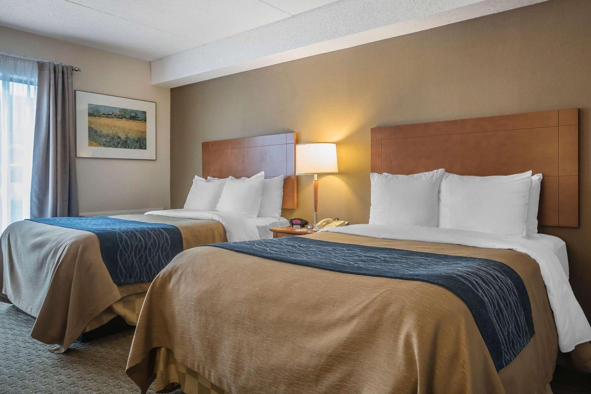 Comfort 3*