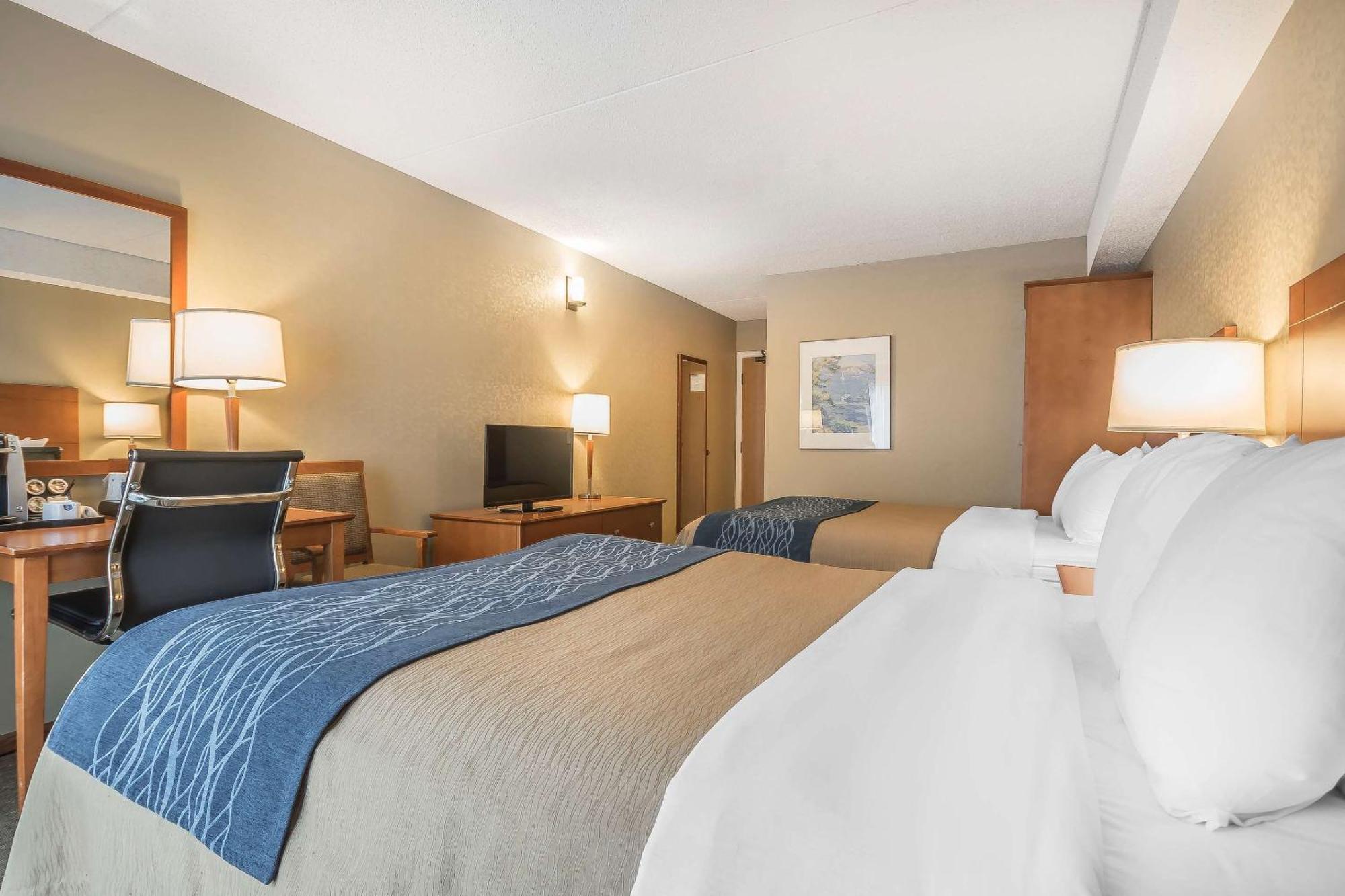Comfort 3*