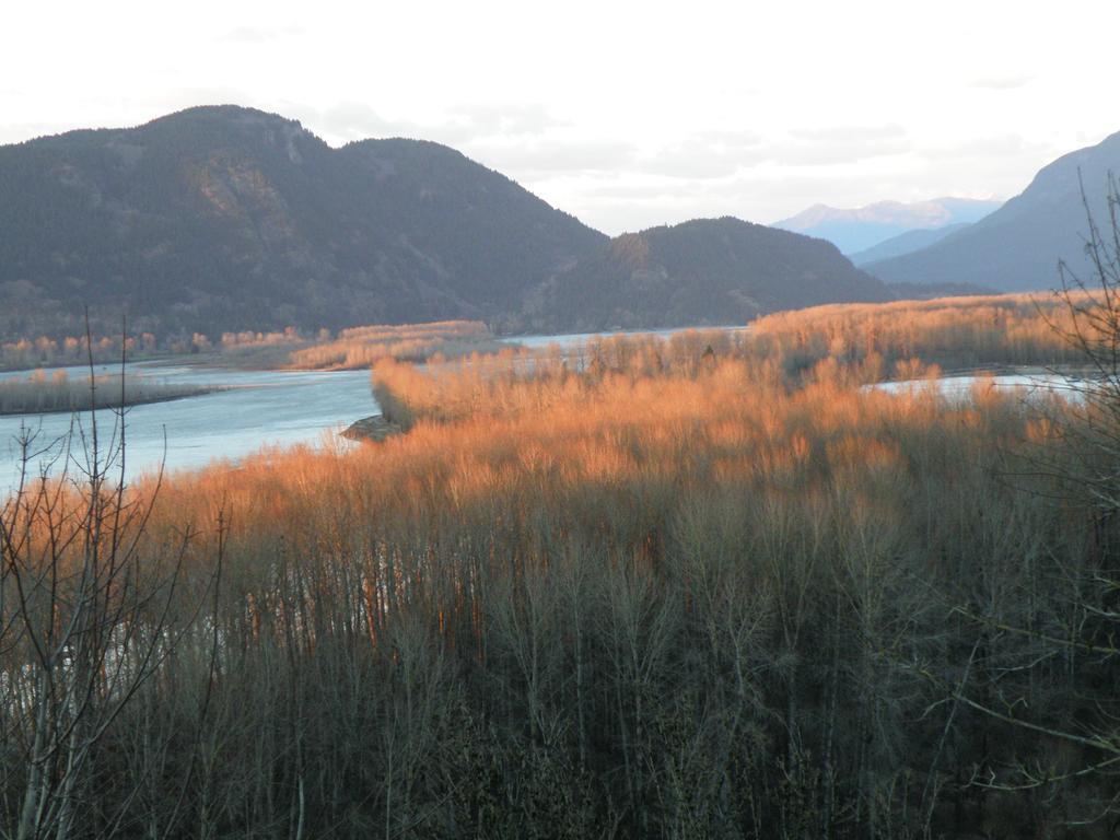 Bed & Breakfast Riverview Chilliwack