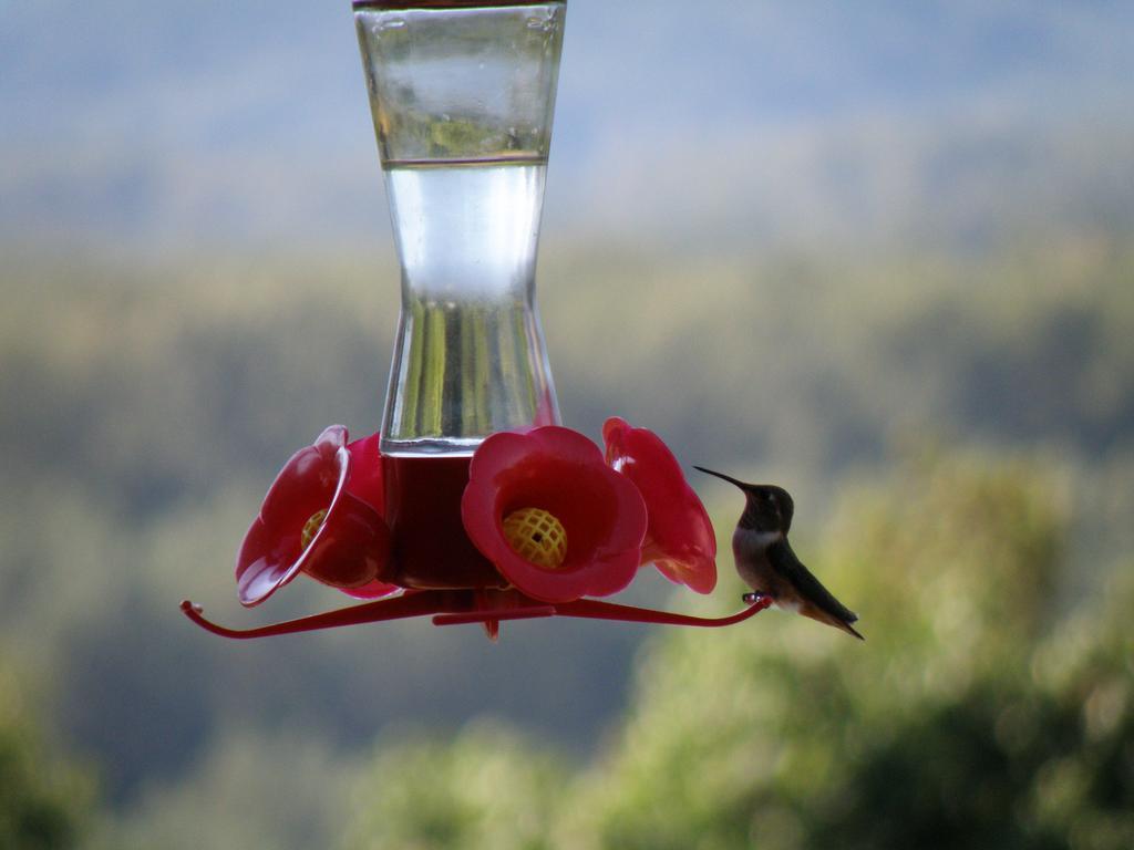 Bed & Breakfast Riverview Chilliwack